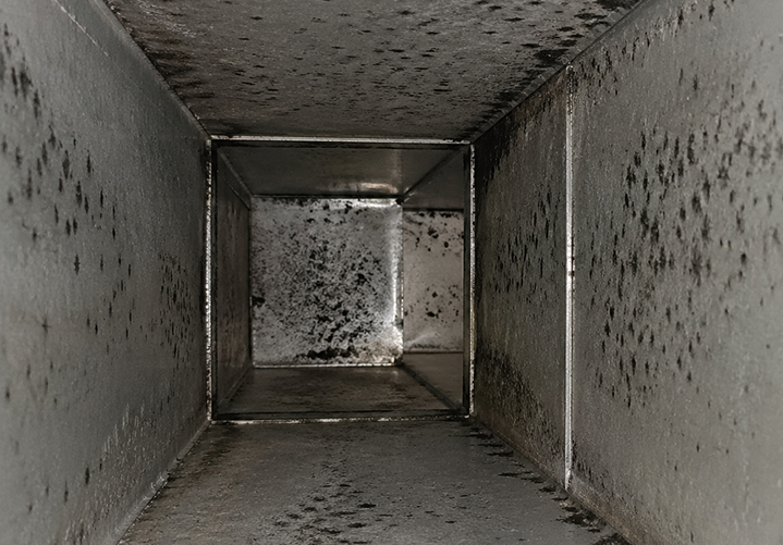 Mold buildup inside residential air duct with visible contamination